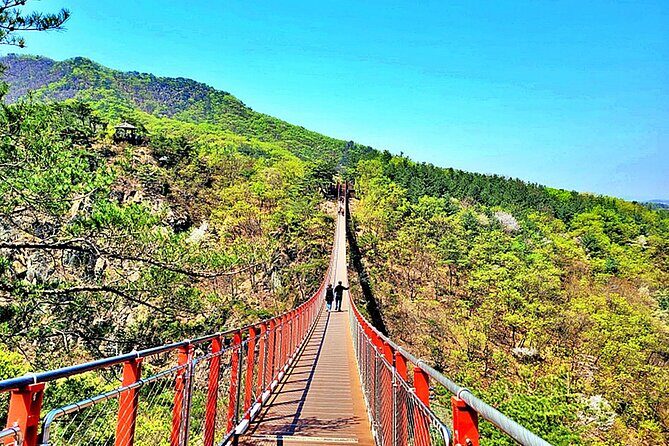Small-Group DMZ Tour w/ North Korea Experience Hall & Susp.Bridge - Dora Observatory Telescopes: The Wow Moment on Clear Days