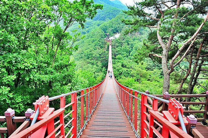 Small-Group DMZ Tour w/ North Korea Experience Hall & Susp.Bridge - Morning Setup at Imjingak Park: Freedom Bridge and Refugee Memory