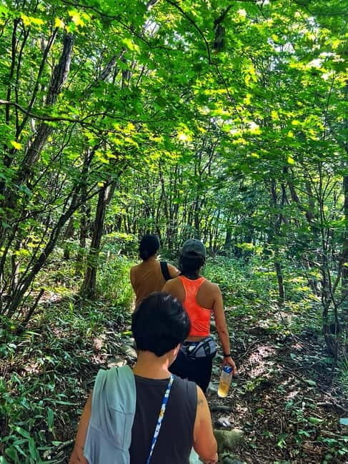 Small Group Hike on Mt. Bukhan’s Secret Paths & Local Lunch - Price and Value: What $103 Buys You (and What It Doesn’t)