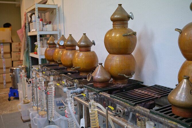 Soju Tasting at Distillery - story of 3 pigs - Small-group social energy: good for couples, soloists, and friends