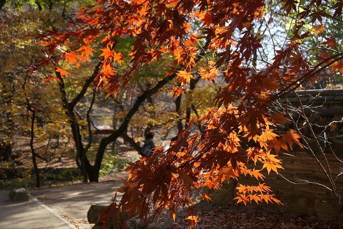 Songnisan National Park & Beopjusa Temple UNESCO site Private Tour - Price and Value: When $248 Per Person Makes Sense