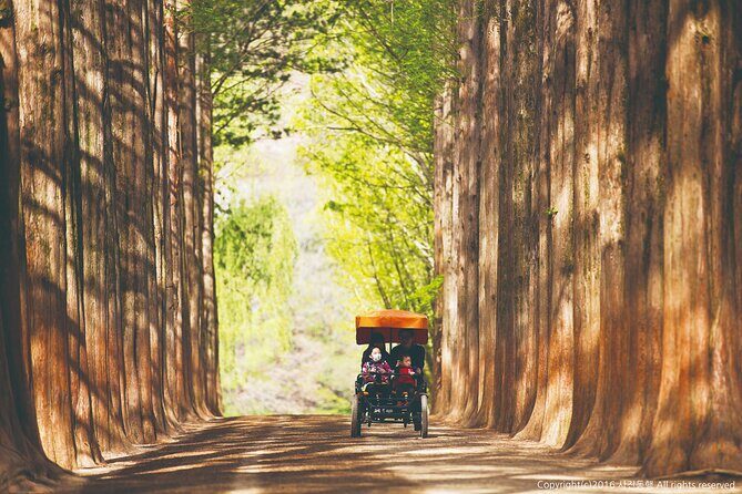 Special Private Tour Nami Island, Rail Bike, Petite France - Price and logistics: what $275 per person really covers