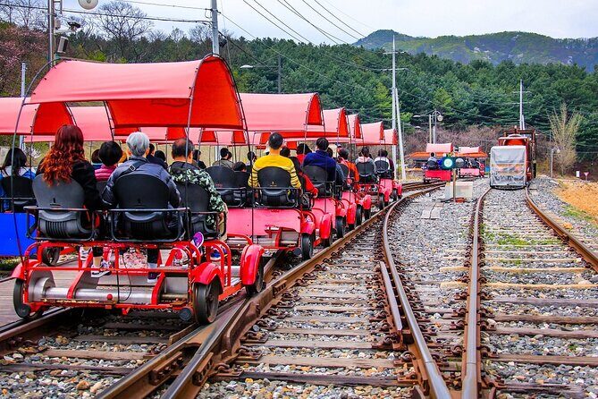 Special Private Tour Nami Island, Rail Bike, Petite France - Who this tour fits best (and who should plan carefully)
