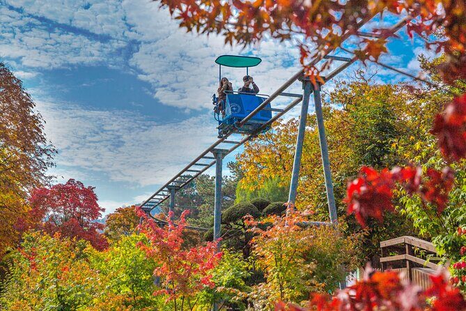 Special Private Tour Nami Island, Rail Bike, Petite France - Nami Island in about two hours: nature, drama locations, and quick photo time