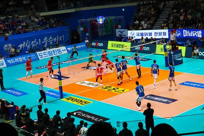 Sports Match in Seoul with Guided K-Food Experience - Price and Value: Why $69.38 Can Feel Fair
