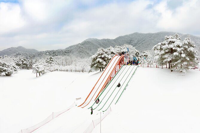 Strawberry Picking, Winter Sled with Eobi Ice Valley from Seoul - Key highlights you’ll feel right away