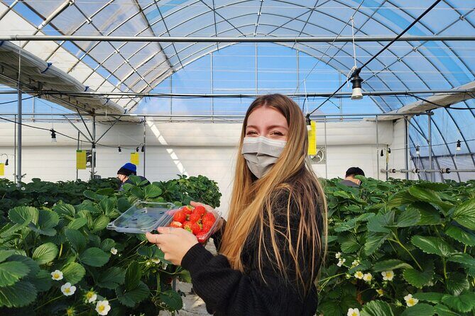 Strawberry Picking, Winter Sled with Eobi Ice Valley from Seoul - Stop 3: Vivaldi Park Snowyland sledding with long runs