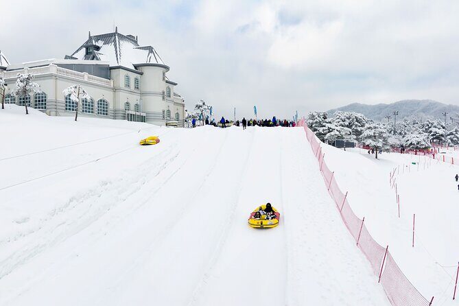 Strawberry Picking, Winter Sled with Eobi Ice Valley from Seoul - Who this tour fits best (and who should think twice)