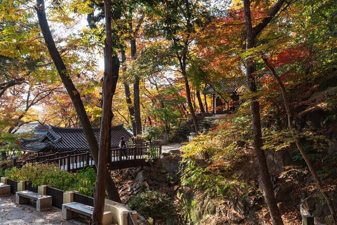 Street photoshoot and Seoul Hidden gem History Walking Tour - Value for $45.95: Why the Price Can Make Sense