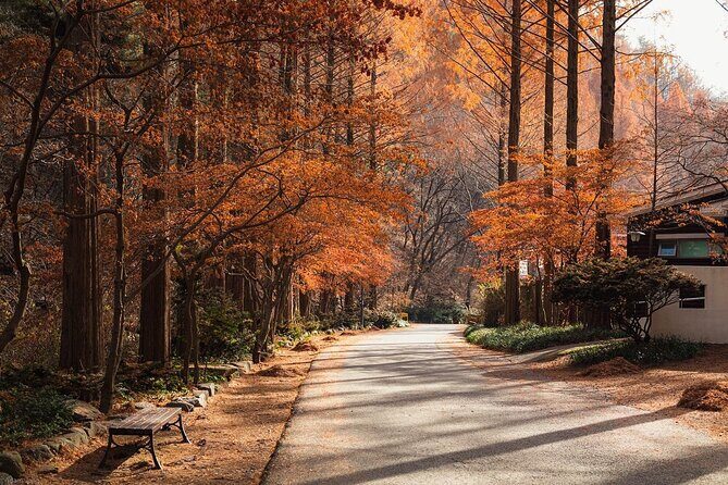 Suwon Hwaseong Fortress & Jangtaesan Full-Day Tour: Autumn Leaves - Key Things I’d Plan For