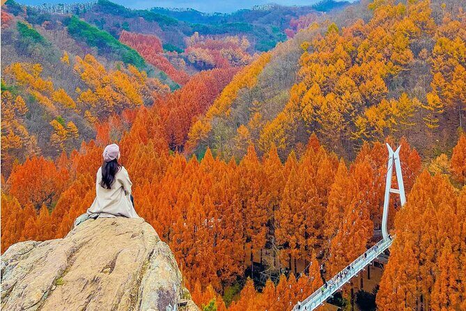 Suwon Hwaseong Fortress & Jangtaesan Full-Day Tour: Autumn Leaves - Price and Value: What $59.57 Covers (and What It Doesn’t)