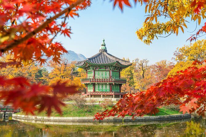 Tailored Private Tour from Seoul - Nami Island: tree-lined calm after border history