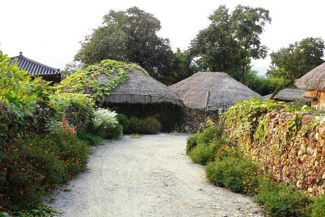 Traditional Korean folk village Afternoon tour - 청하고려인삼(주) Shopping Center: A Quick 20 Minutes With a Clear Role