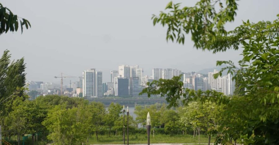 Unique Native Experience : Han River Picnic, Board game, BBQ - Key Things You’ll Notice Right Away