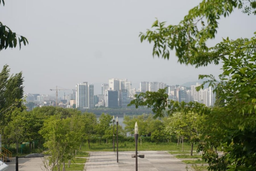 Unique Native Experience : Han River Picnic, Board game, BBQ - Soona’s Quick Korean Lesson: Useful Phrases, Fast