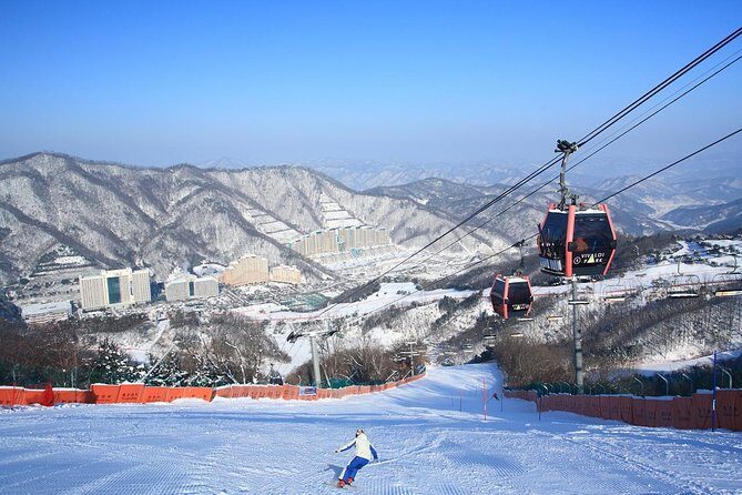 Vivaldi Park Winter Ski Resort with Nami Island Tour from Seoul - Key highlights worth planning for
