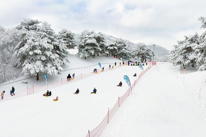 Vivaldi Park Winter Ski Resort with Nami Island Tour from Seoul - Stop 1 at Vivaldi Park Ski World: 4 hours on snow