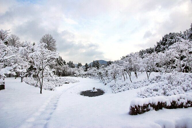 Vivaldi Park Winter Ski Resort with Nami Island Tour from Seoul - Gear, helmets, and the on-site fees you should budget