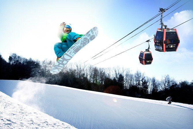 Vivaldi Park Winter Ski Resort with Nami Island Tour from Seoul - Price and value: what you’re actually paying for