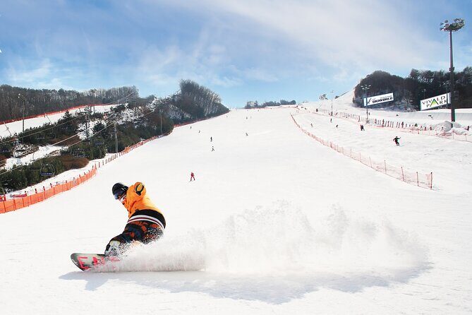 Vivaldi Park Winter Ski with Eobi Ice Valley Day Tour from Seoul - Key things I’d zero in on before you book