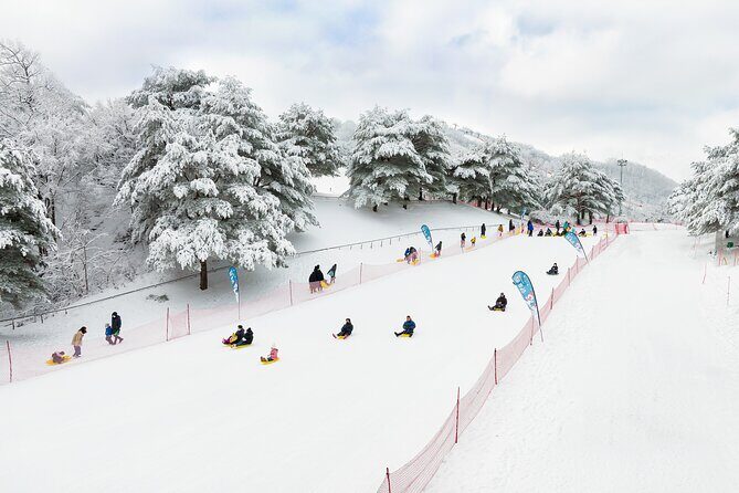 Vivaldi Park Winter Ski with Eobi Ice Valley Day Tour from Seoul - Eobi Ice Valley: Icicles, Photos, and a Tight 40 Minutes