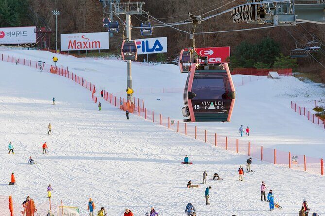 Vivaldi Park Winter Ski with Eobi Ice Valley Day Tour from Seoul - The Timing: How 12–13 Hours Feels in Winter