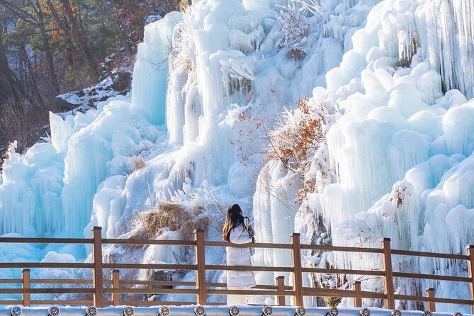 Vivaldi Park Winter Ski with Eobi Ice Valley Day Tour from Seoul - What to Pack (and the Small Fees That Add Up)