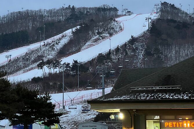Yongpyong Ski Resort from Seoul with Optional Lesson and Packages - Key things I’d zero in on before you go
