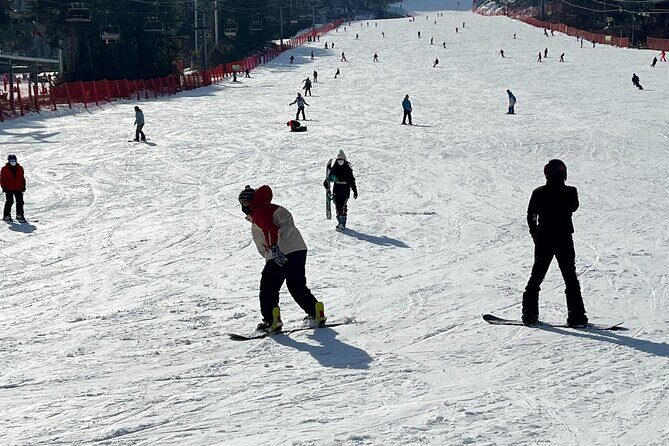 Yongpyong Ski Resort from Seoul with Optional Lesson and Packages - Getting back to Seoul: City Hall or Myeongdong drop-off